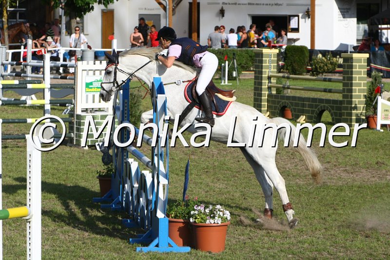 204M4619_Feivel the mouse_Spring_Mx.JPG